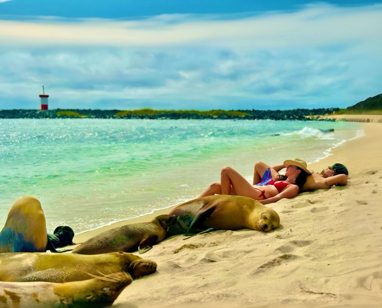 Etape 12 – Les Îles Galapagos (Fiche Pratique &&nbsp;Budget)