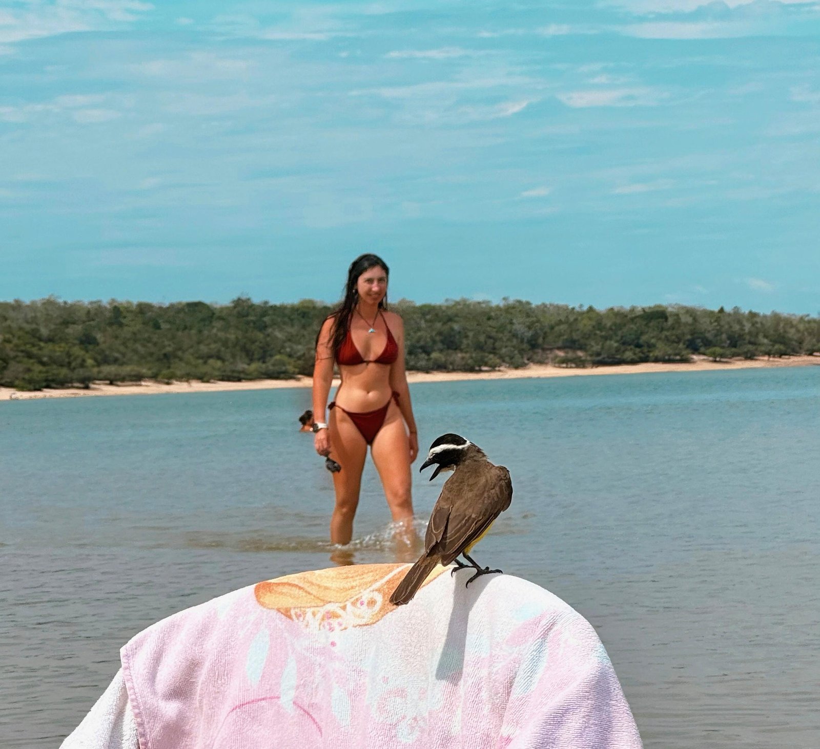 Entraînement de nage longue distance dans un bras du fleuve Amazone au Brésil par Estelle Ohanian