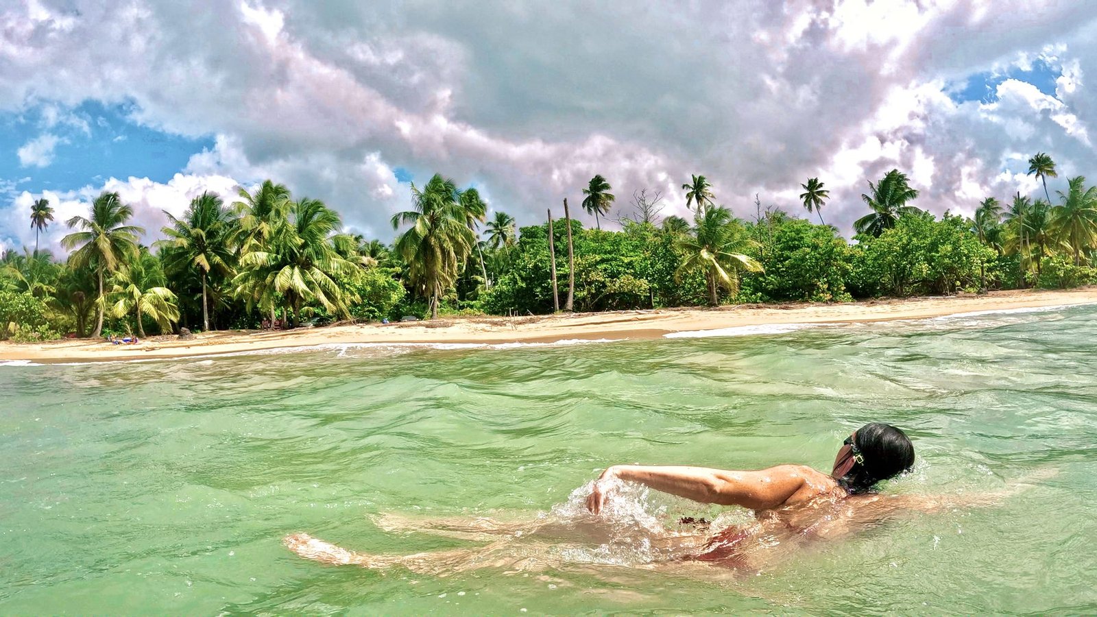 Nage en Amazonie - FBW Project