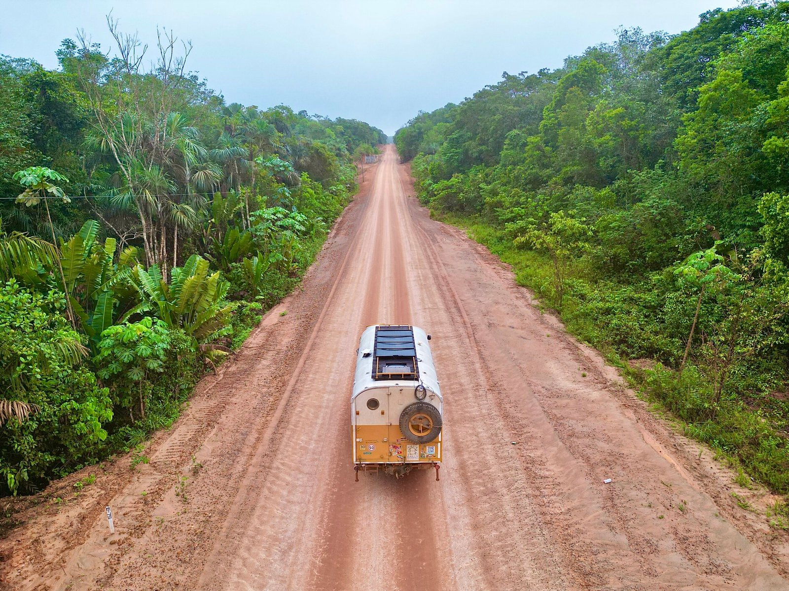 Woody seul sur la piste de terre rouge de la Transamazonienne, entre deux murs de forêt