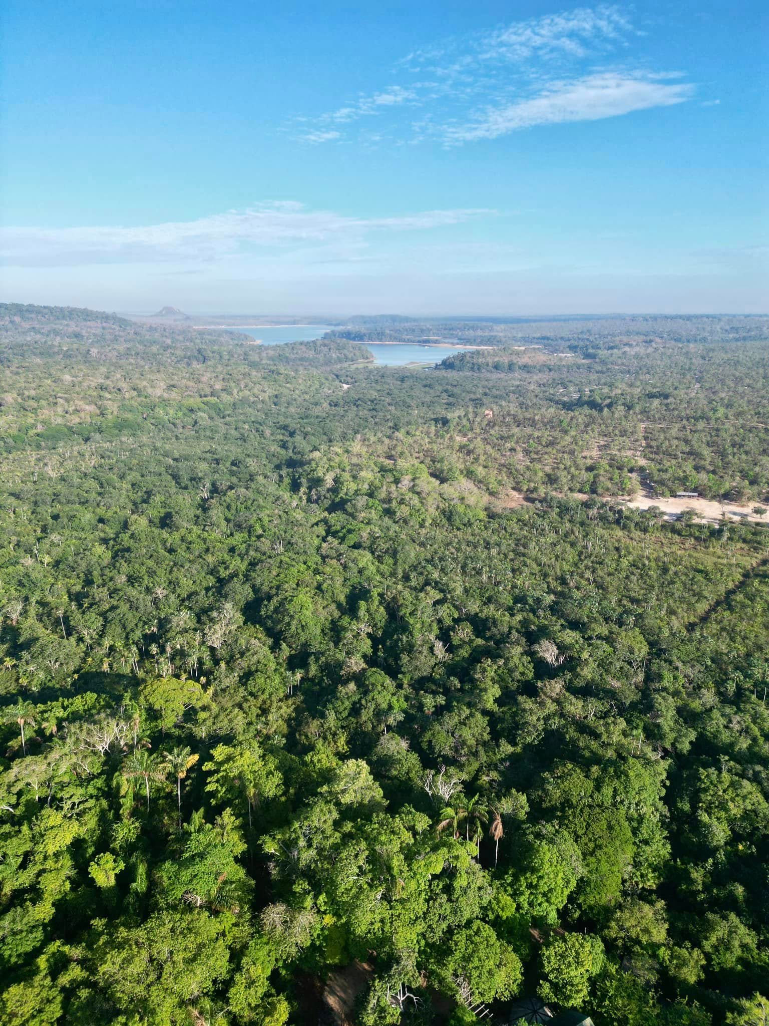 La forêt amazonienne vue du ciel