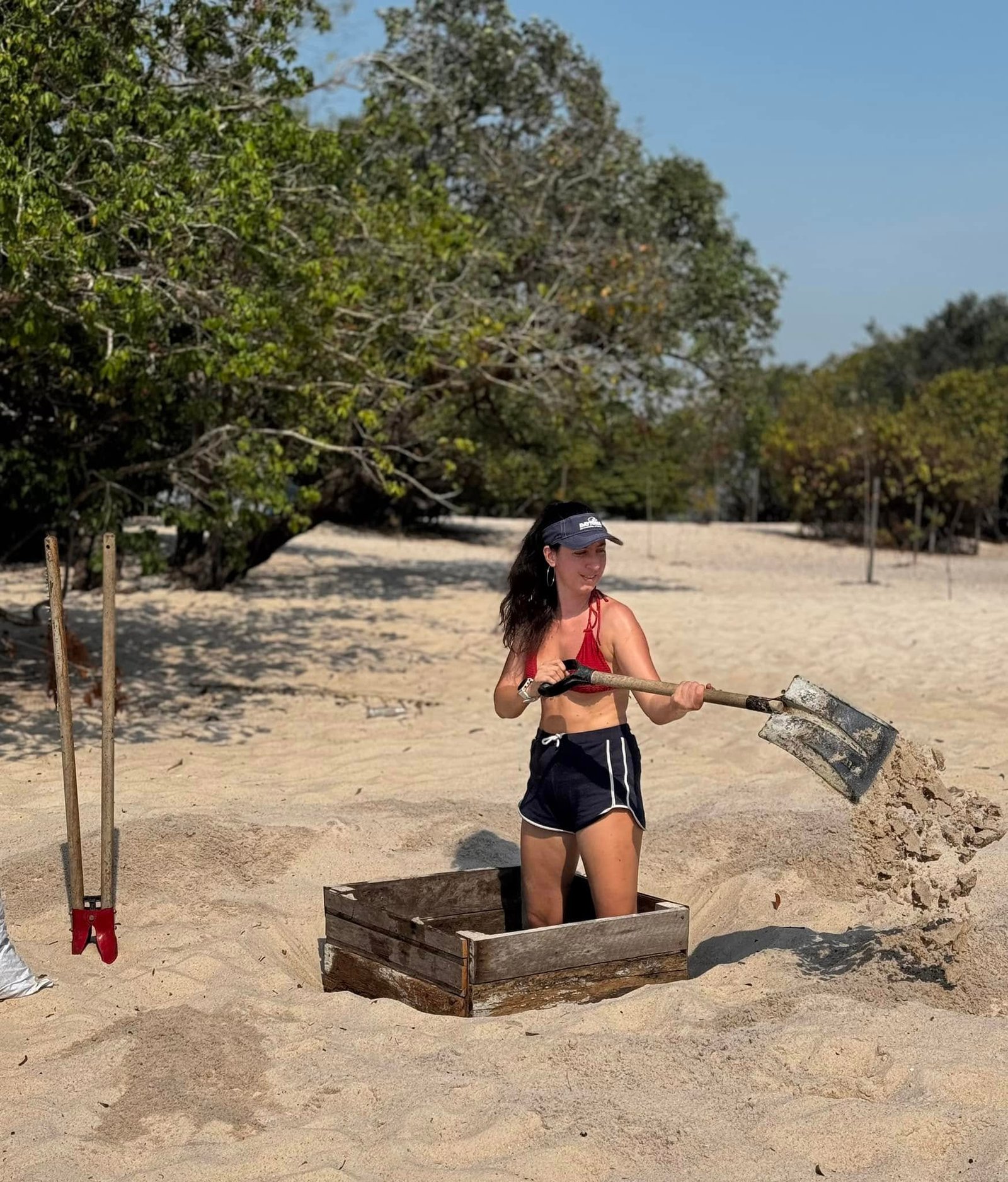 Reforestation sur l’Ilha do Amor